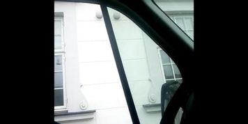 Cock Flash In Car For Cute Danish Girl