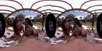 VirtualRealTrans.com - Spring breakers