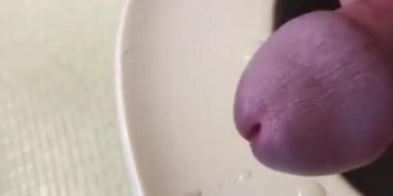 Toilet Seat Cumshot 