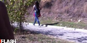 Park Flash 1