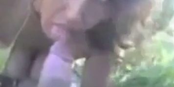 maghribiya katmaso l maghribi