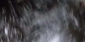 Latina sucking bbc in the car facial