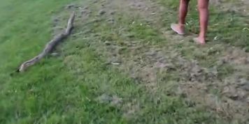 My Playful Ebony Stepsis With Big Booty In Short Skirt Messing Around In The Park Teasing Flash  