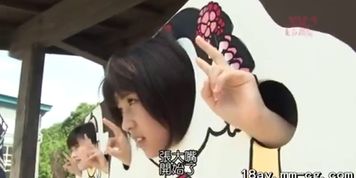 Wild Japanese game show