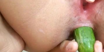 Egyptian Cucumber Anal