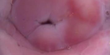 Pussy pussy pussy