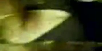 Mature woman touch cock in bus