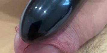 Frenulum vibrator