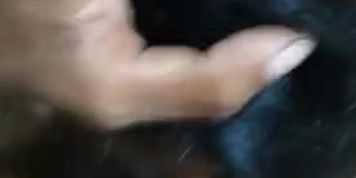 2020 ?????? ?????? - ?????? ???? ?? - Gf Giving A Perfect Blowjob To Him