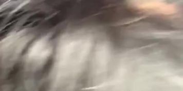 Bitch sucking cock for some meth