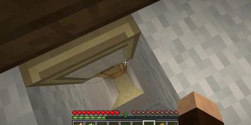 Minecraft I made my Nude Photos room and masturbated on it