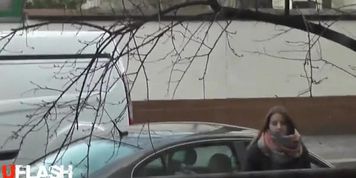 window dickflash