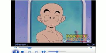 dragonball z XXX