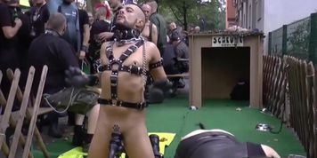 Gay guys get doggy in public
