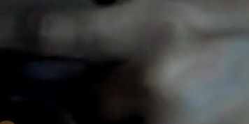 Lilyn Web Cam for my eyes