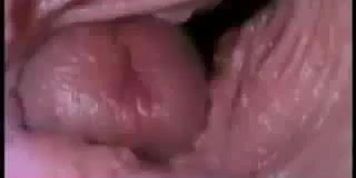 in pussy