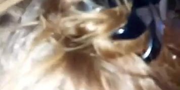 blowjob