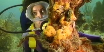 scuba travel show
