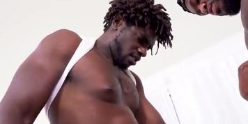 v (1)