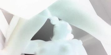 Video29