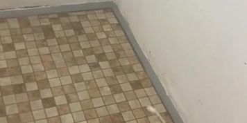 Quick Cumshot in Wallowa Lake Public Camp Shower 