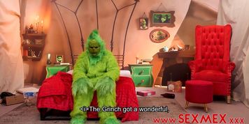 THE GRINCH STEALS THE CHRISTMAS . Lula