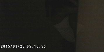 Cheating Girlfriend - video 6