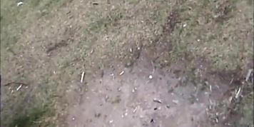Incredible peeper Voyeur adult movie