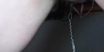 New leash and collar for your screw toy