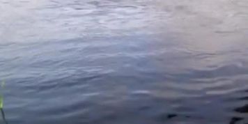 ??????? ?????