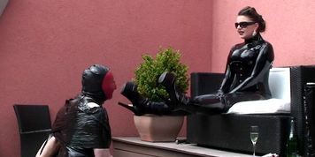 Spitting-Humiliation For 2 Slaves