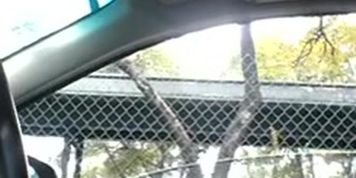 Car Flash Teen