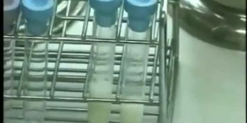 sperm lab