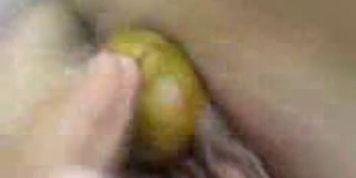 Maldivian dildo or coconut 1