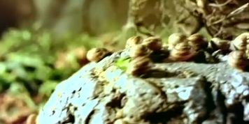 Ekaterina Drobish Breasts Scene  in Barbarian