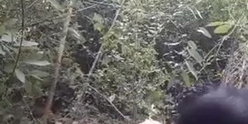 DesHIPP Outdoor Assamese Sex MMS Of A Couple From A Jungle