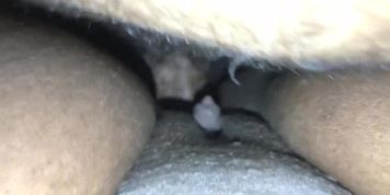  CREAMY Kat 