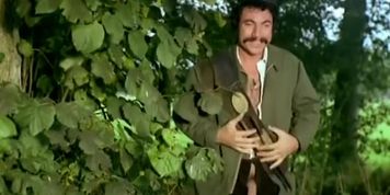 Les Zizis En Folie