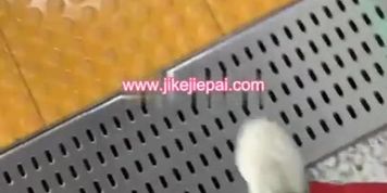 Jike6