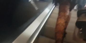 Black Fishnet high legs voyeur flashing