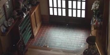 onsen jav