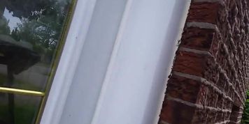 Hot ass wife leggings vpl