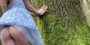 Beleef delphinium Fornacette (Belle Delphine)