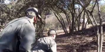 Border patrol search leads to hot sex