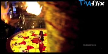 Shriya Saran Butt,  Breasts Scene  in Naa Alludu