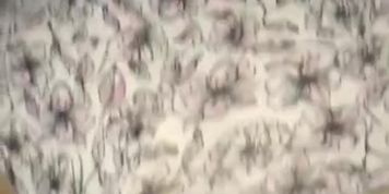 Fucked her so hard with my BBC she came all over my cock 