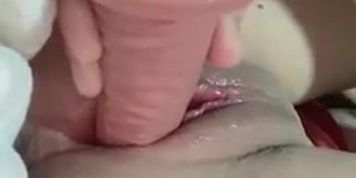 AnyKawai Dildo