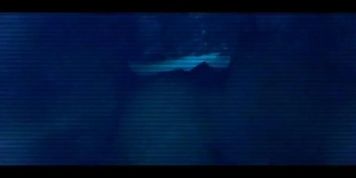 3D Alien Fucks