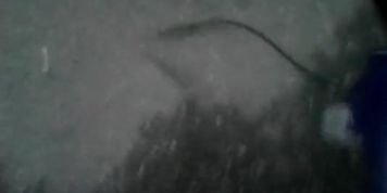 Flash a vecina