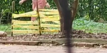 Hot Blonde in the park